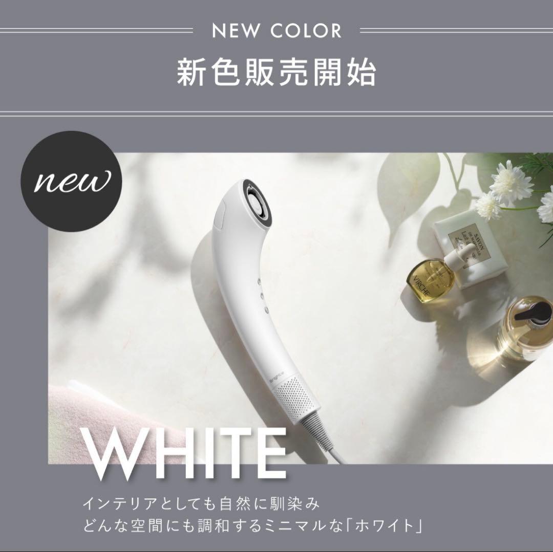 SHOWER DRYER Brighte シャワードライヤー 新品 プレゼント付