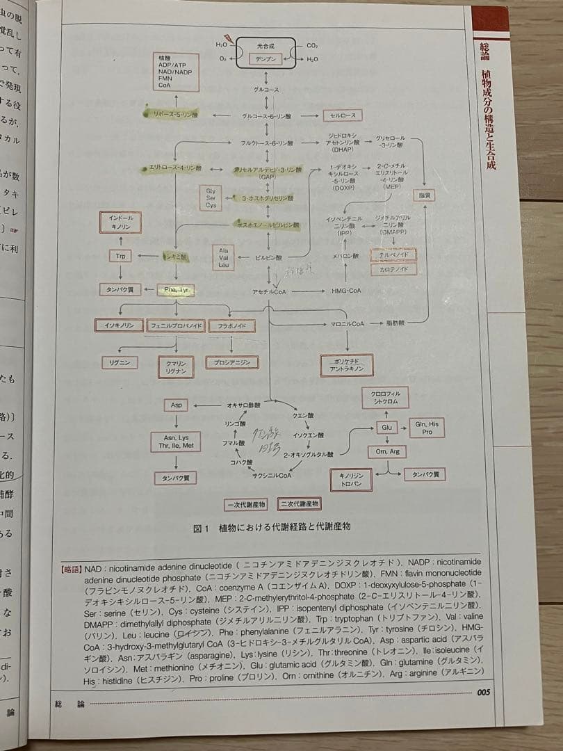 薬学部 教科書 参考書 1冊500円〜
