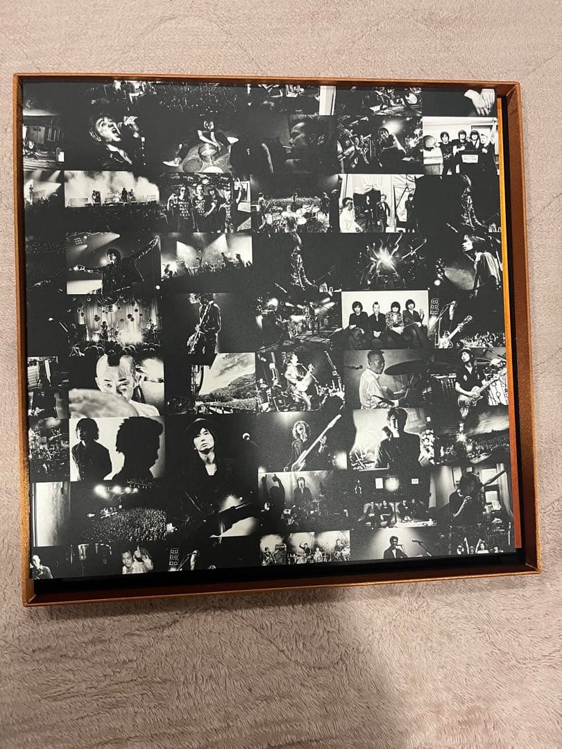 The Birthday GOLD TRASH 完全生産限定豪華盤　チバユウスケ