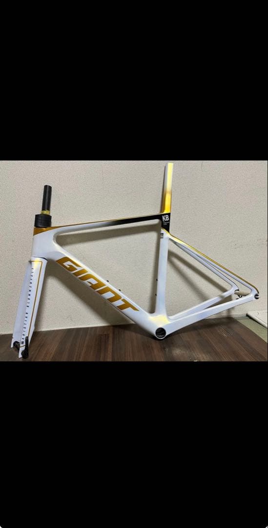 現行型　sサイズ　新品・未組立・未加工　PROPEL ADVANCED SL