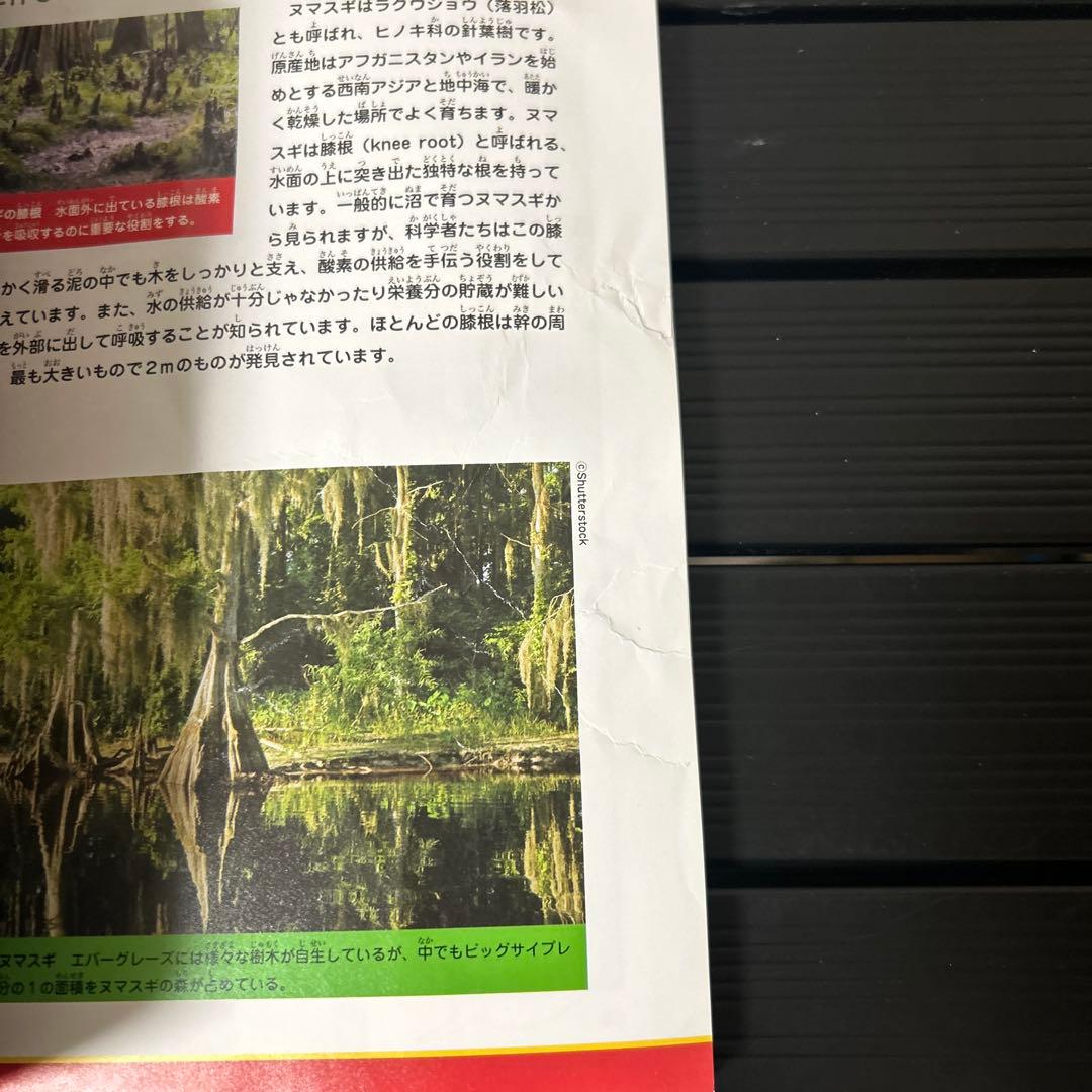 科学漫画サバイバルシリーズ 29冊セット ➕1冊おまけ