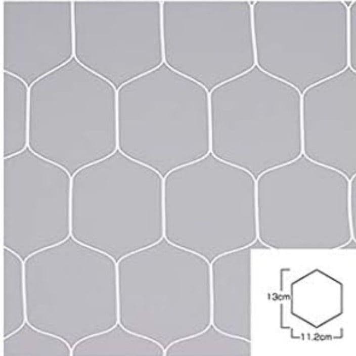 エバニュー　ゴールネット　2張　1組