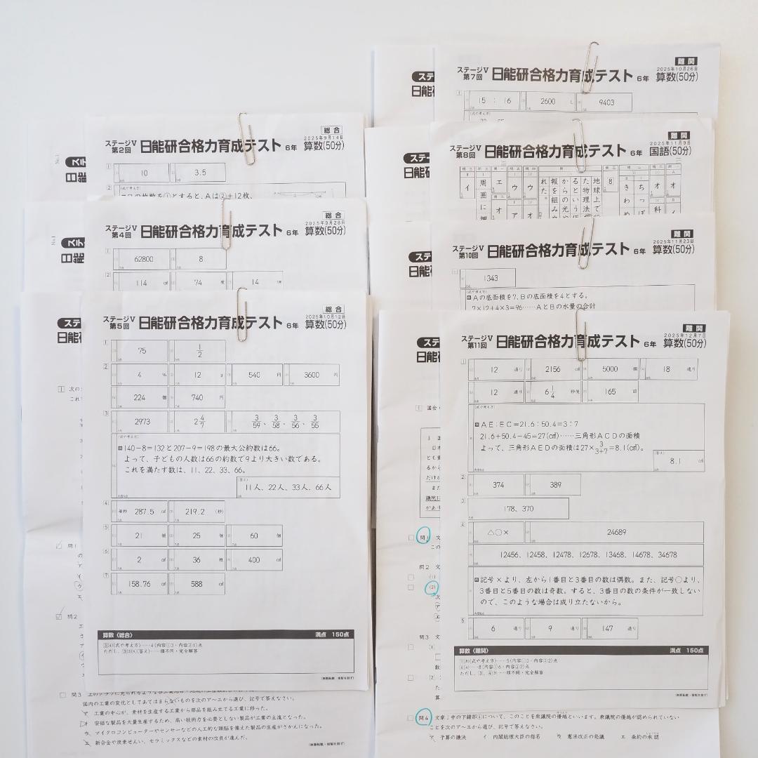 日能研2025年度 6年生テスト1年分 フルセット 4教科 解答付き 公開 育成