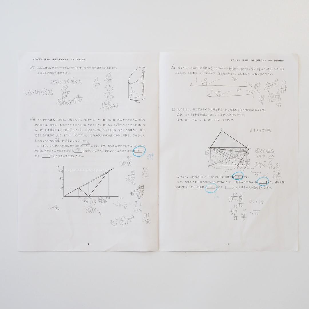 日能研2025年度 6年生テスト1年分 フルセット 4教科 解答付き 公開 育成
