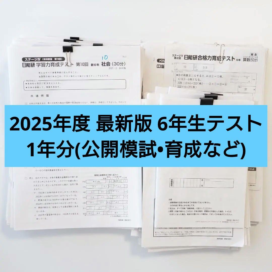日能研2025年度 6年生テスト1年分 フルセット 4教科 解答付き 公開 育成