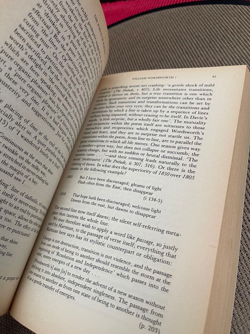 希少　The Force of Poetry Christopher Ricks