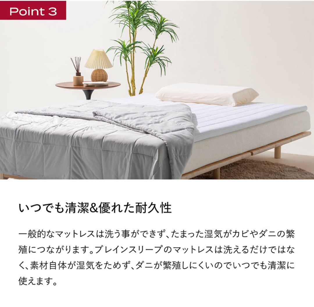 ブレインスリープ オーバーレイ シングル