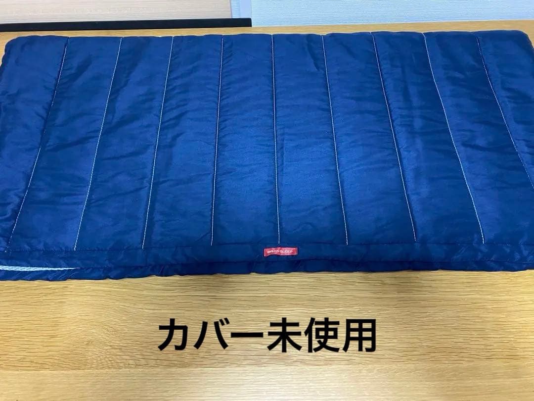 ブレインスリープ オーバーレイ シングル