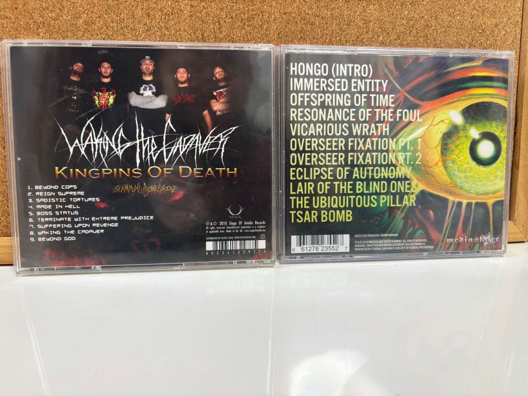 洋楽 Burning the Masses Waking the Cadaver