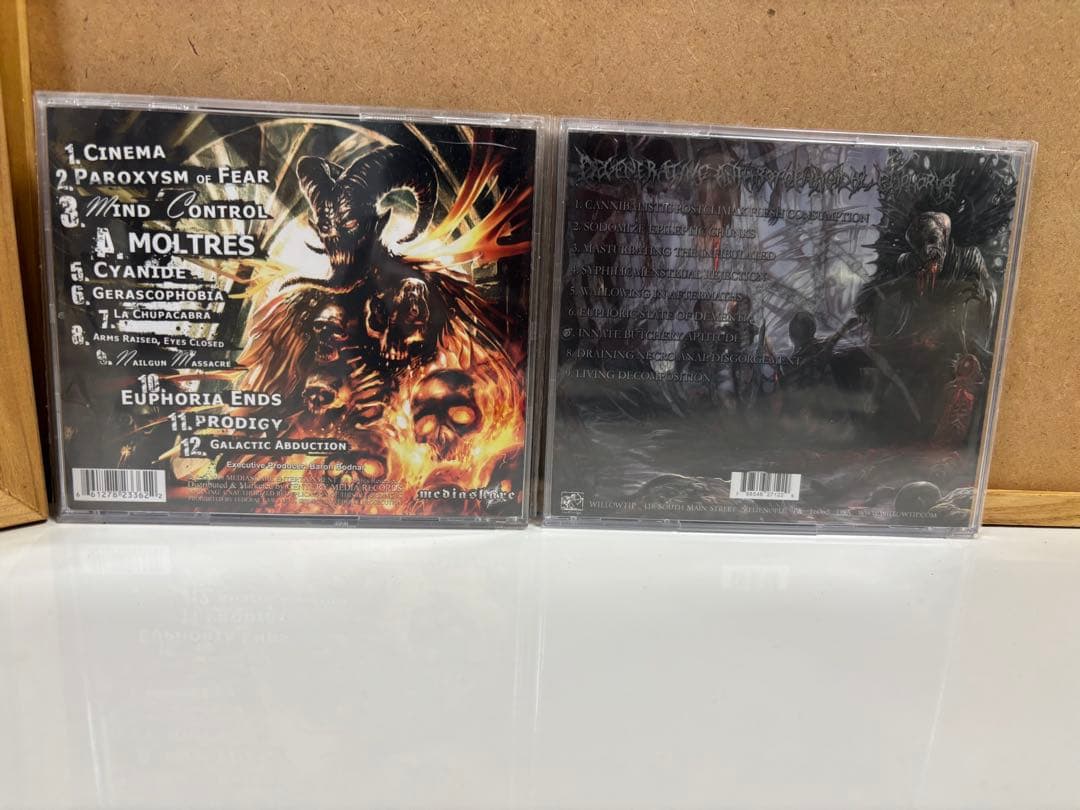 洋楽 Burning the Masses Waking the Cadaver