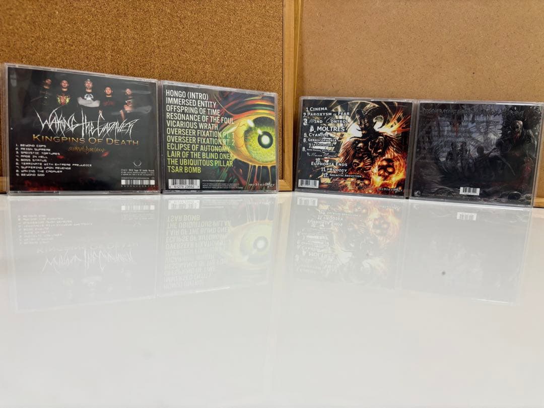 洋楽 Burning the Masses Waking the Cadaver