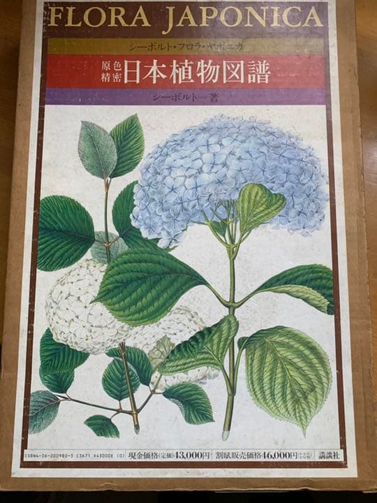 シーボルト「原色精密 日本植物図譜」