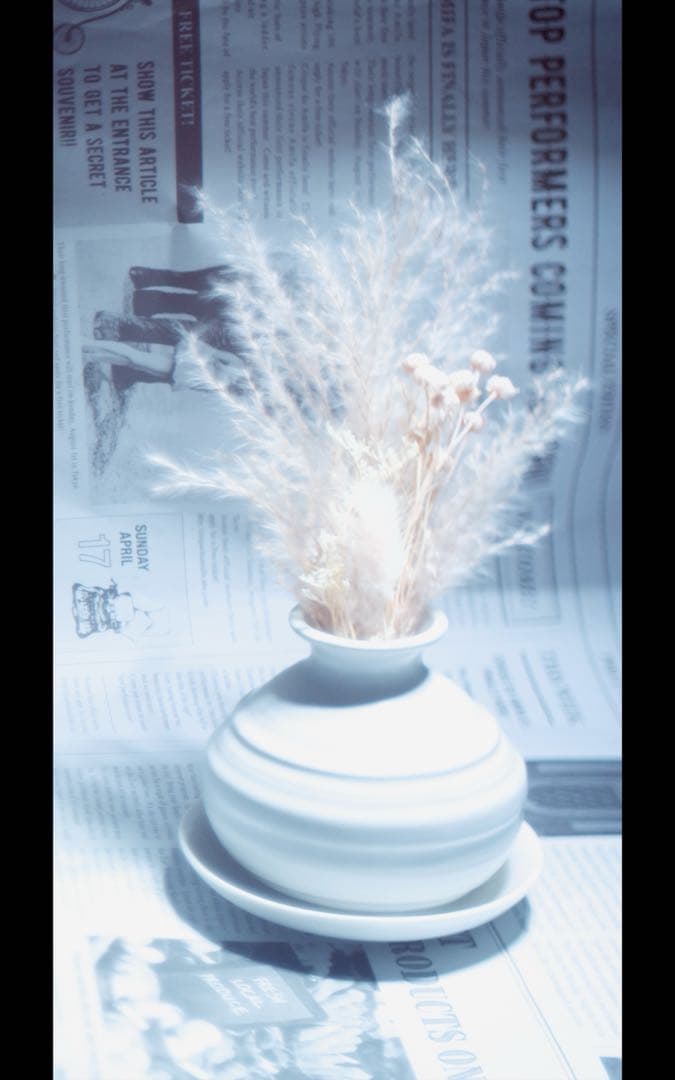 レンズ(単焦点) VOIGTLANDER SKOPAREX 35mm f3.4