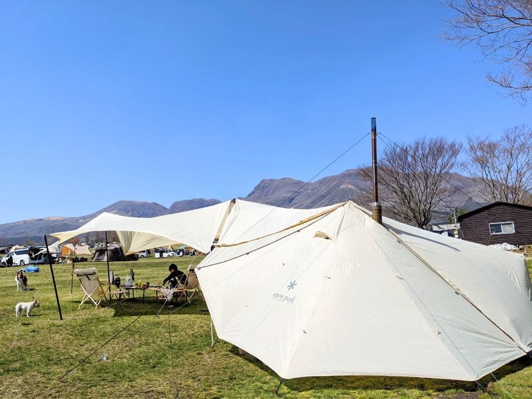 【二又ポール&跳ね上げポール付き】ランドステーションL アイボリー 二又付き