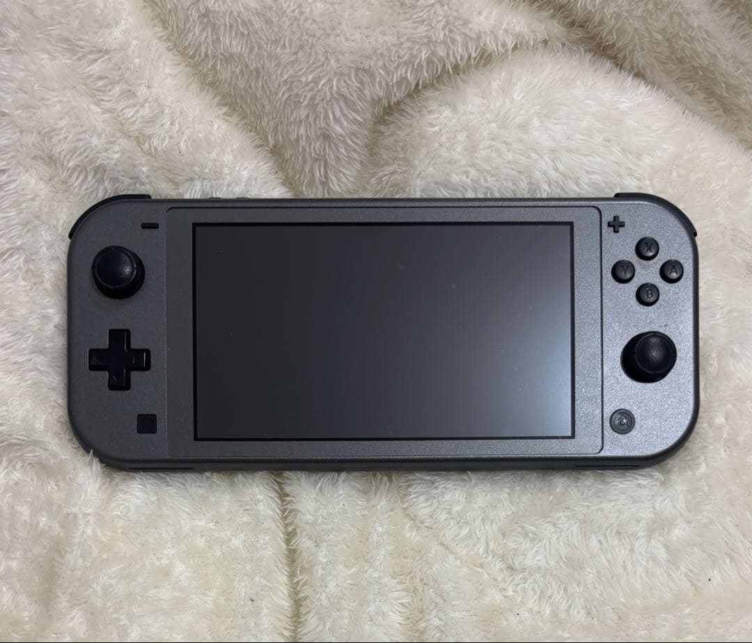 Nintendo Switch ライト　ポケモン　本体のみ