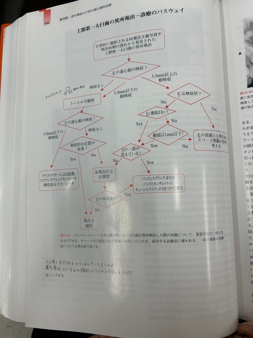 プロフィトの現代歯科矯正学
