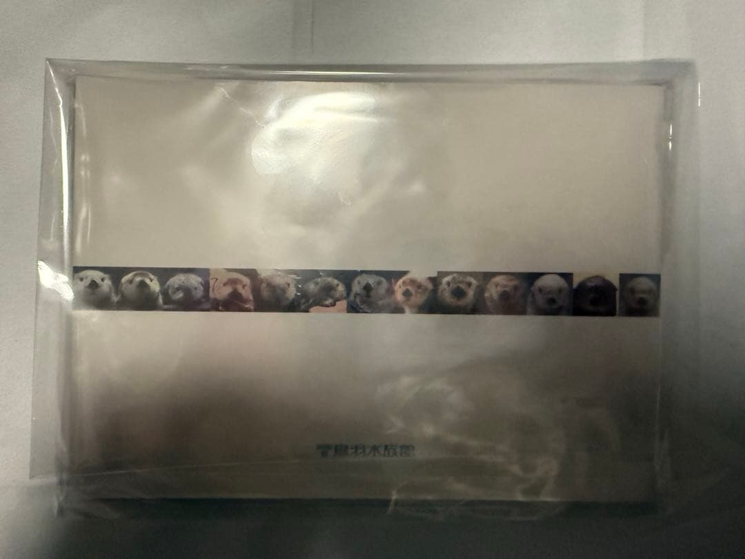 ラッコメモリアルBOOK （ラッコのメイちゃん、ラッコのキラちゃん）