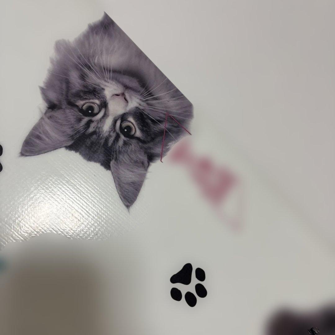 美品　HEAD SUZZY 猫　147cm