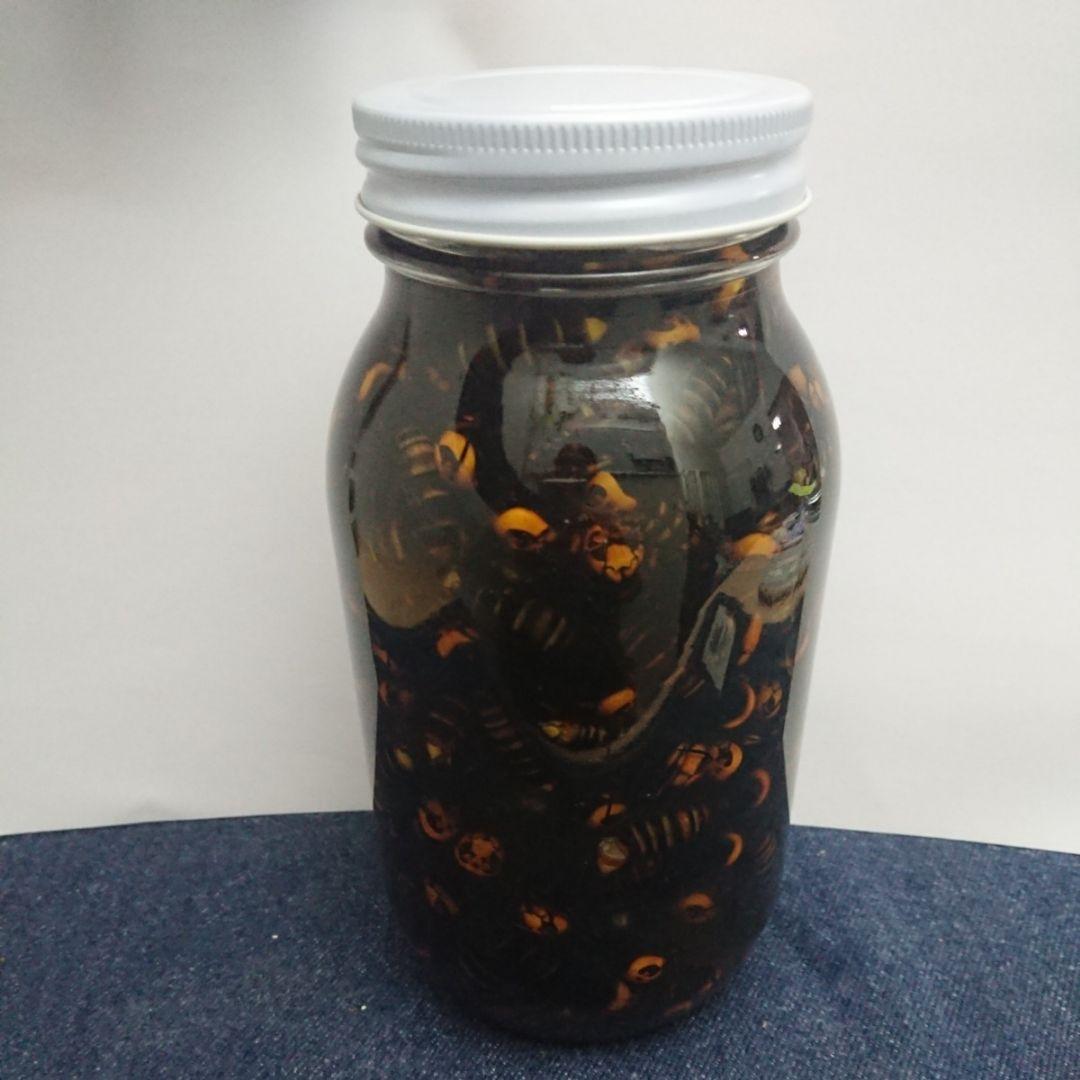 6本【150匹】オオスズメバチ焼酎