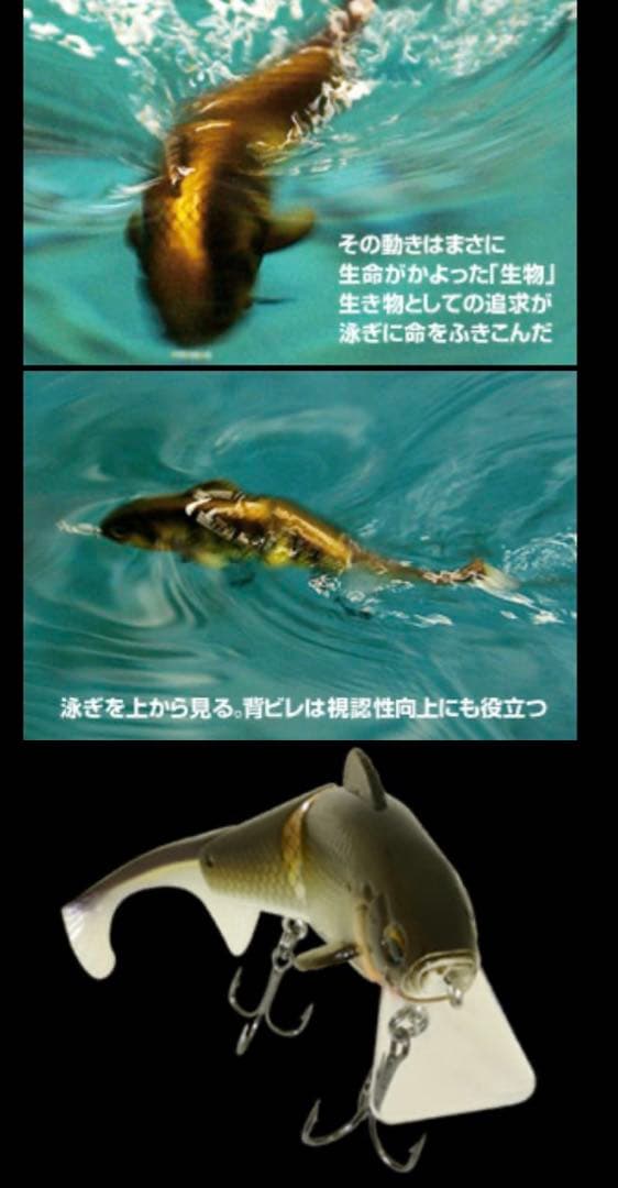 激レア 廃盤　イマカツ コフナジー IMAKATSU COFUNAZZY 野鯉