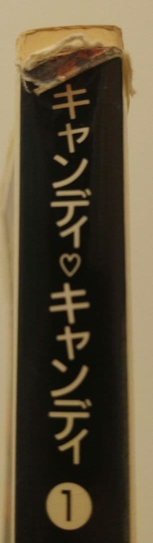 キャンディ♡キャンディ 文庫本 全巻セット