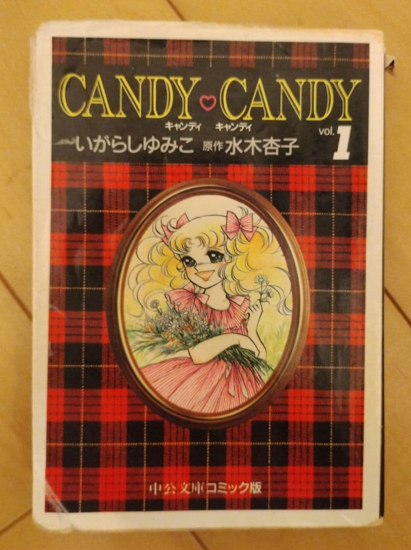キャンディ♡キャンディ 文庫本 全巻セット