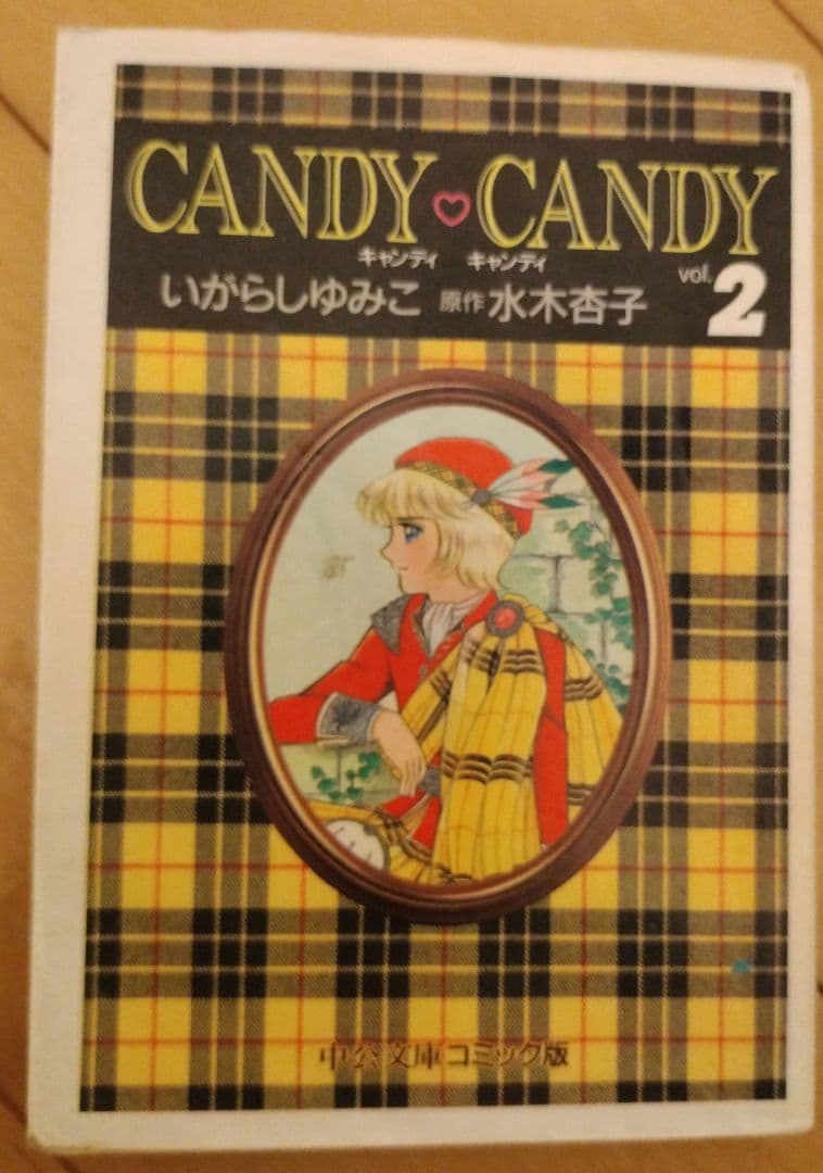 キャンディ♡キャンディ 文庫本 全巻セット