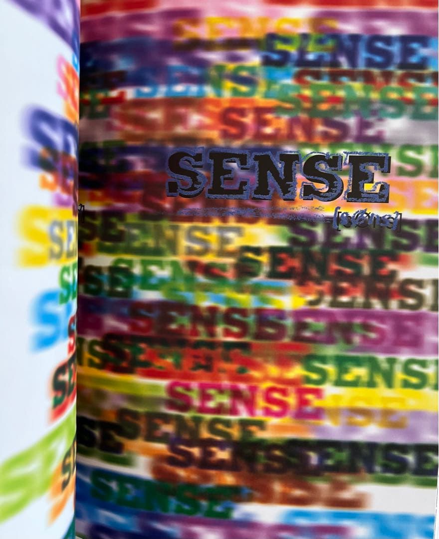 新品 the shadow of the official art works