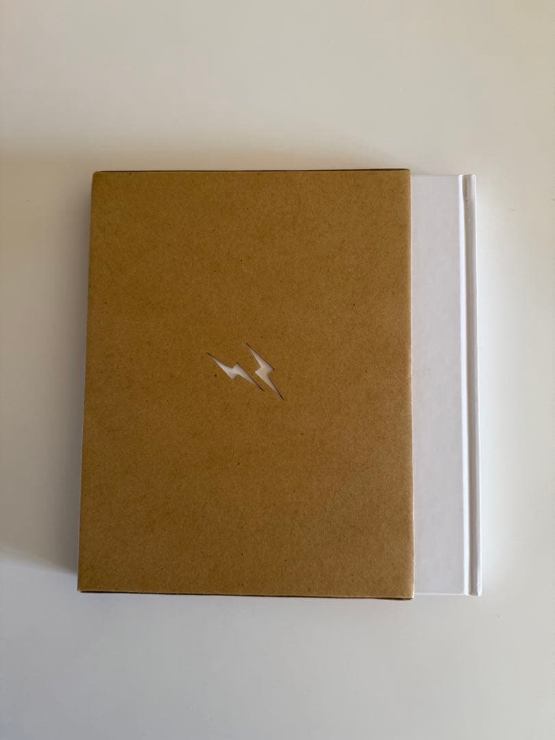 新品 the shadow of the official art works