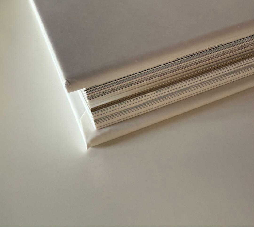 新品 the shadow of the official art works