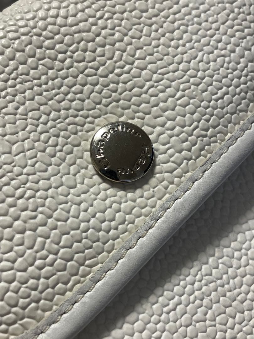 エルベシャプリエ　パスポートケース