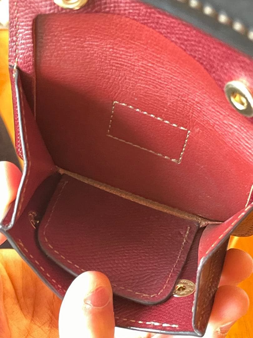 【最終値下】ワイルドスワンズ　Eno イーノ　シェルコードバンWILDSWANS