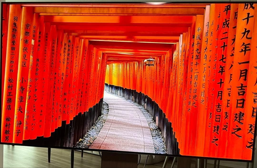 【OLED】有機EL 65インチ OLED65CXPJA