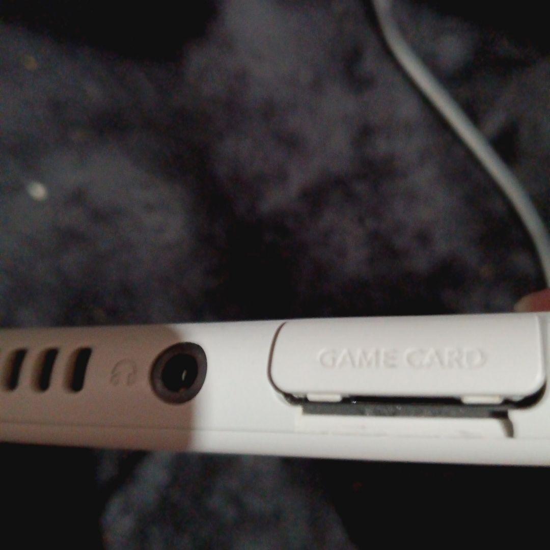 ぼ*の様 Nintendo Switch Lite ポケモン ソードシールドモデ