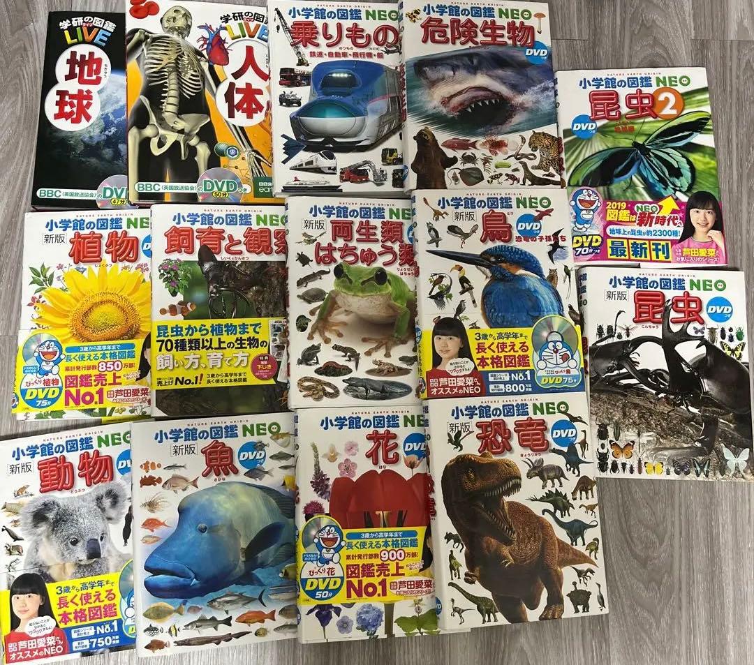 小学館の図鑑NEO 12冊➕学研の図鑑LIVE2冊　楽しみながら知識が身につく