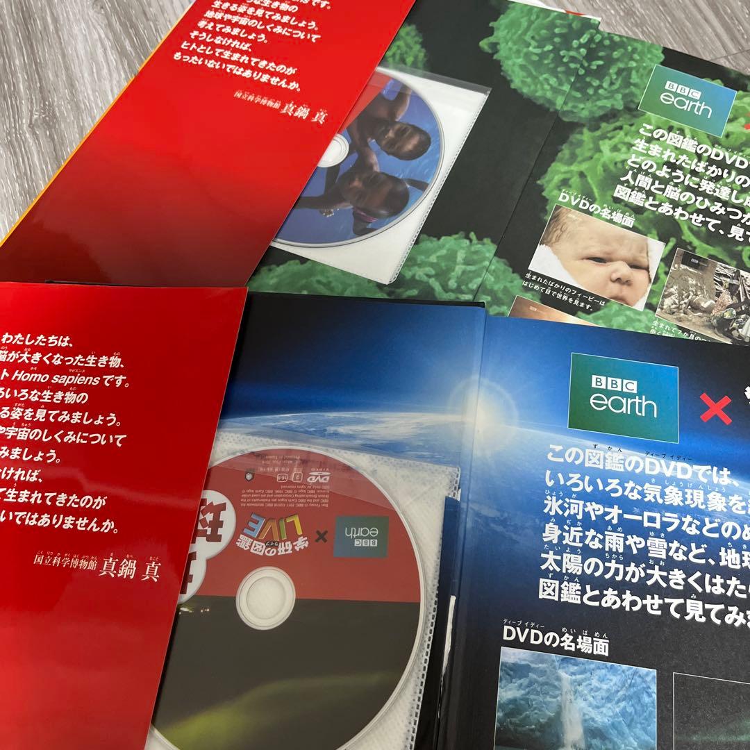 小学館の図鑑NEO 12冊➕学研の図鑑LIVE2冊　楽しみながら知識が身につく