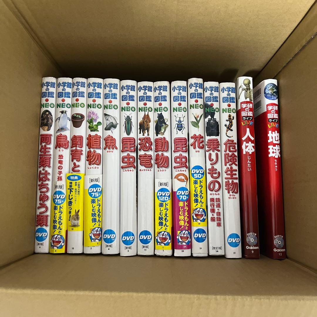小学館の図鑑NEO 12冊➕学研の図鑑LIVE2冊　楽しみながら知識が身につく