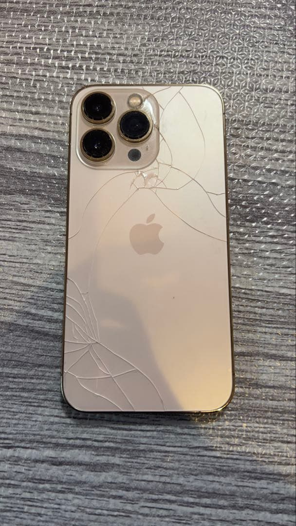 iPhone13pro本体 カメラ不良