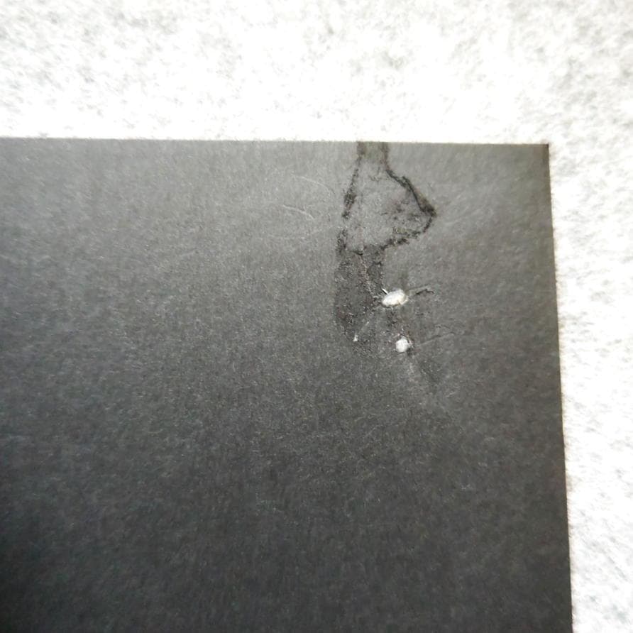 ◆古本◆虚像未来図鑑◆田名網敬一・原栄三郎◆谷川晃一 篠原有司男 赤瀬川原平