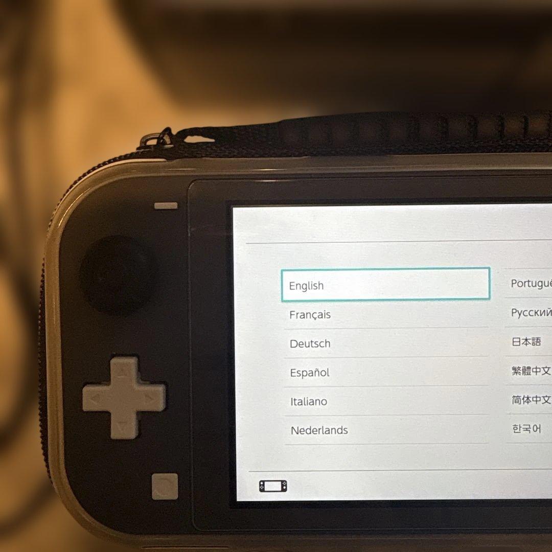 Nintendo Switch Lite グレー　ケース・保護カバー付き