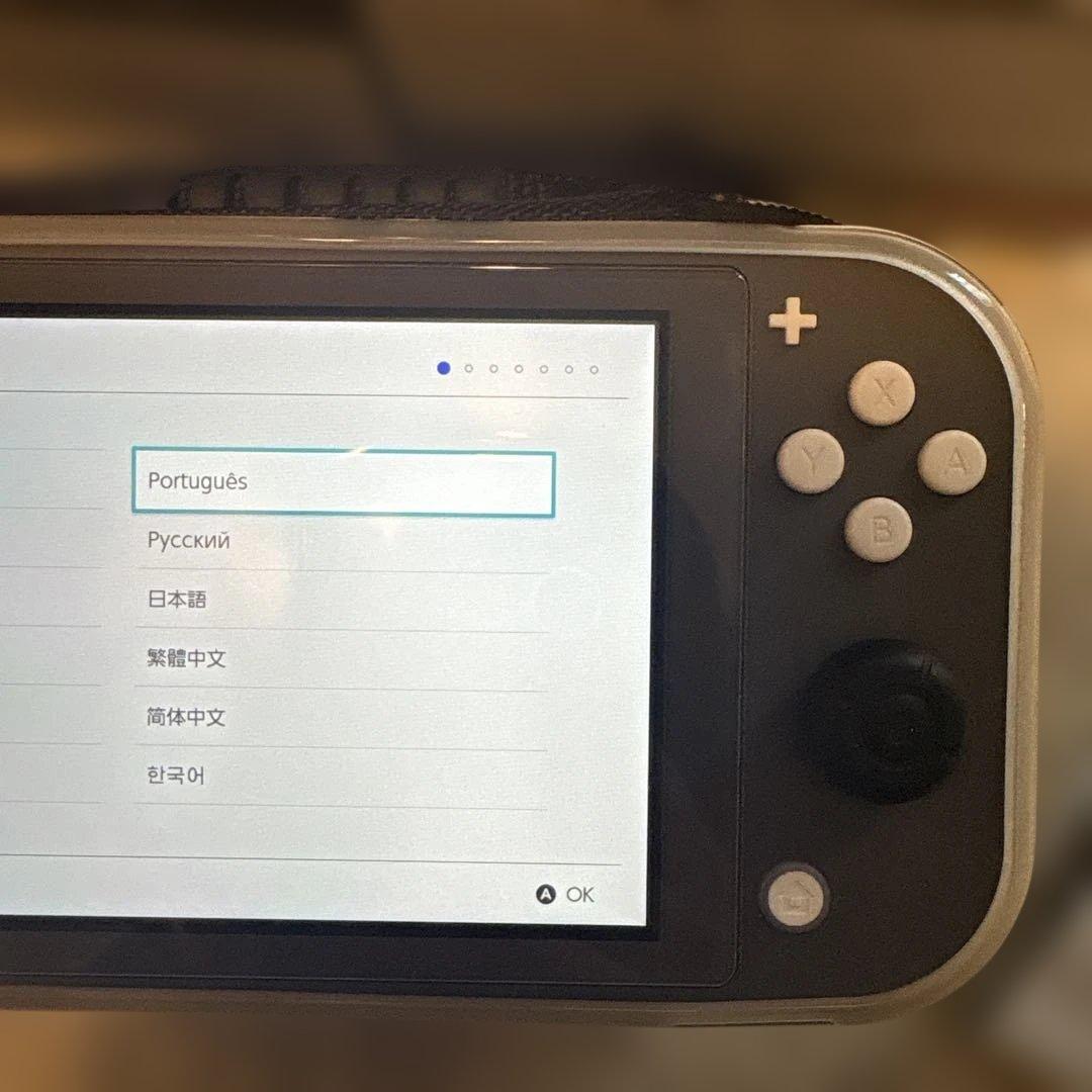 Nintendo Switch Lite グレー　ケース・保護カバー付き