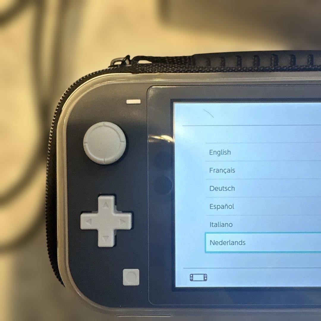 Nintendo Switch Lite グレー　ケース・保護カバー付き