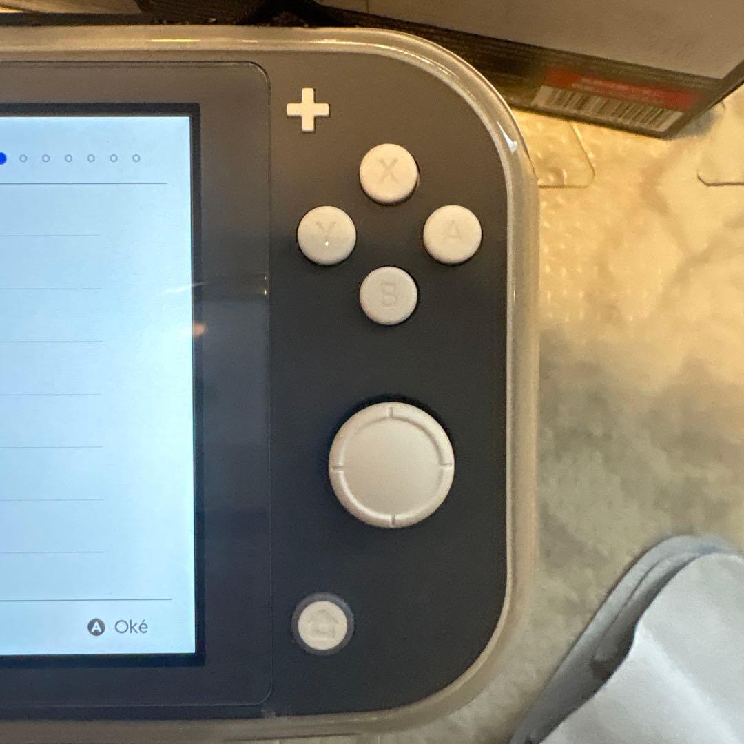 Nintendo Switch Lite グレー　ケース・保護カバー付き