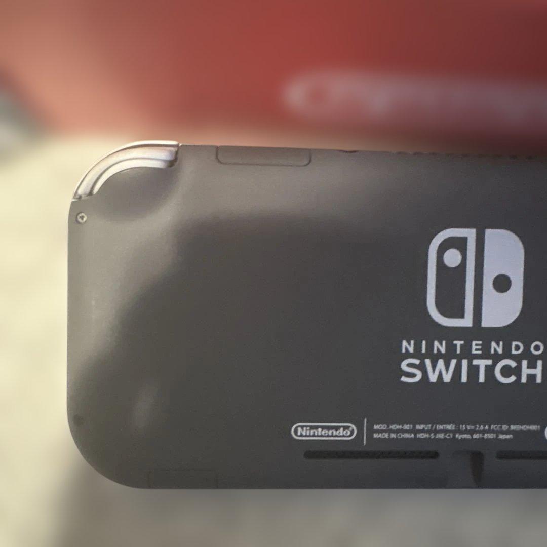 Nintendo Switch Lite グレー　ケース・保護カバー付き