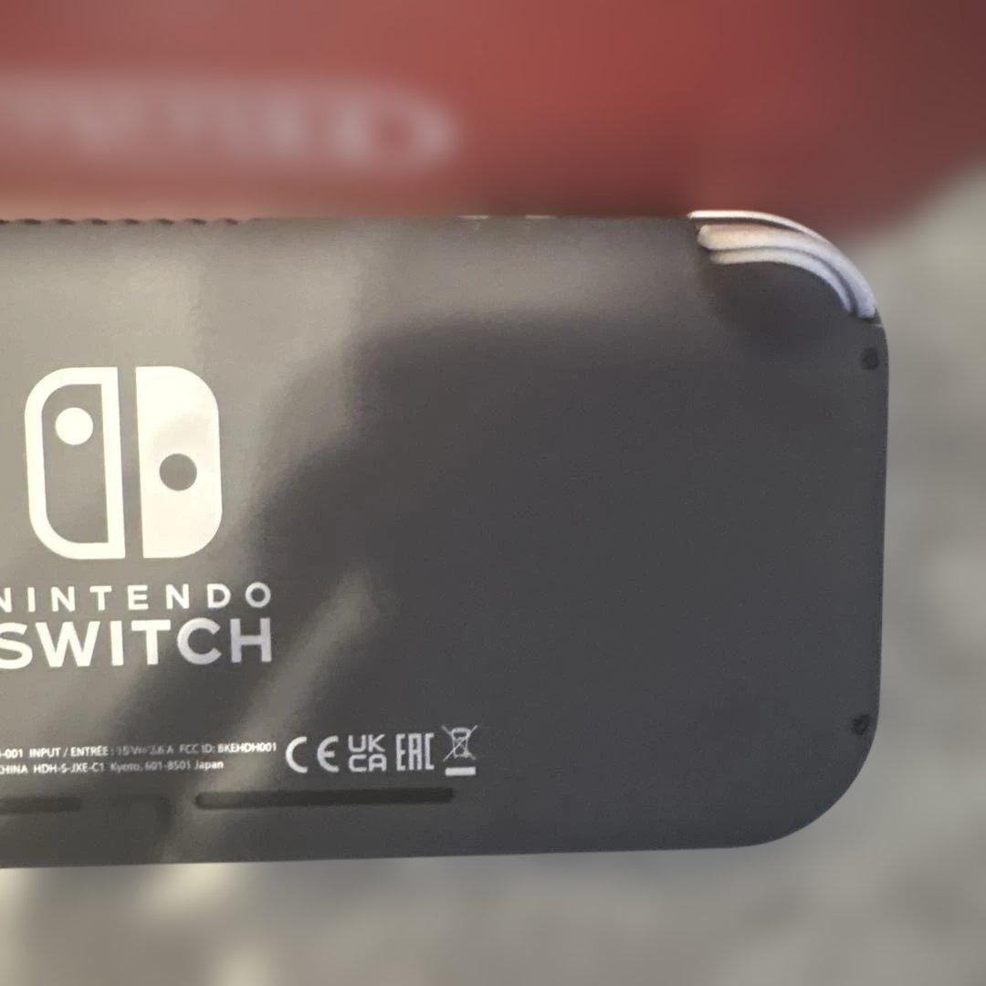 Nintendo Switch Lite グレー　ケース・保護カバー付き