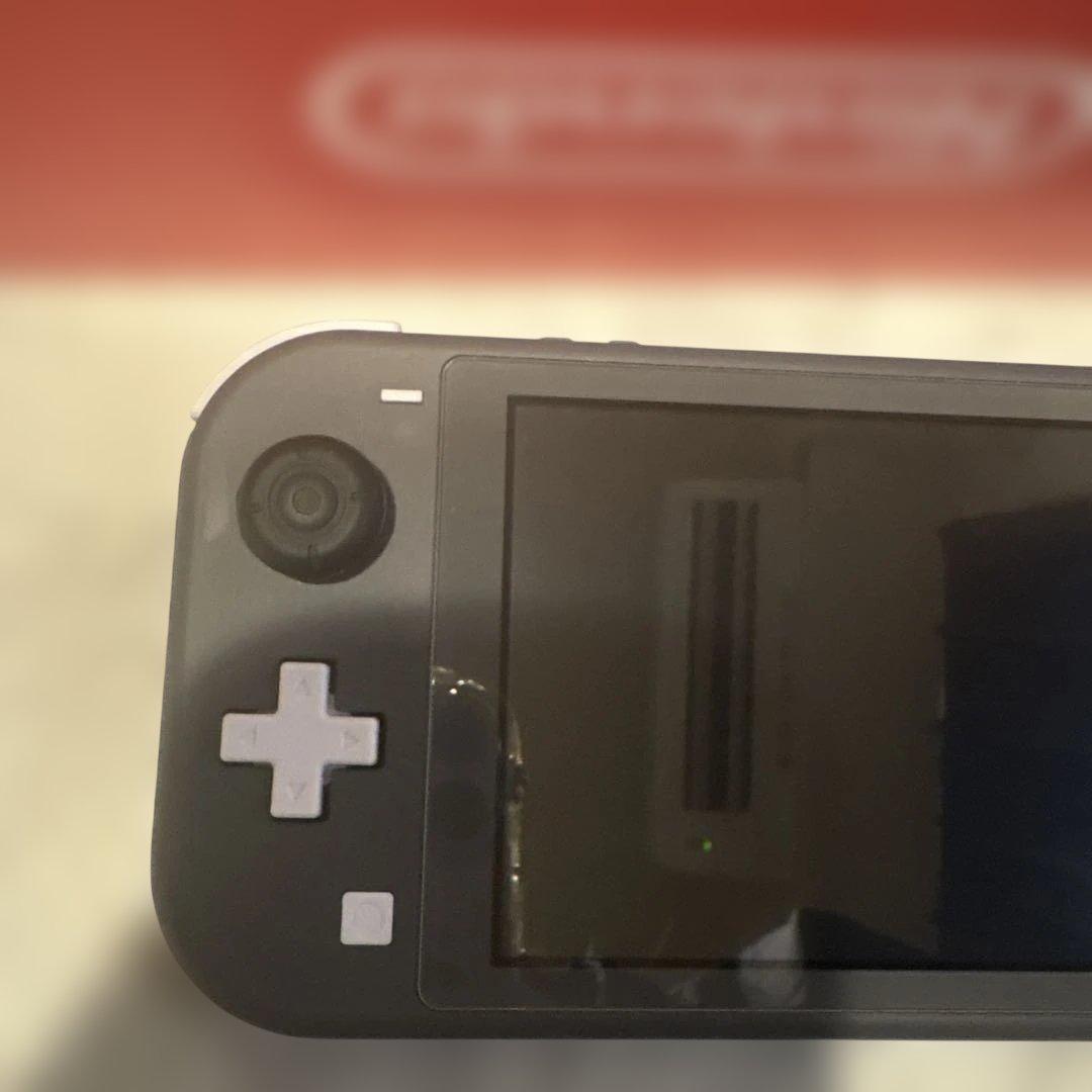 Nintendo Switch Lite グレー　ケース・保護カバー付き