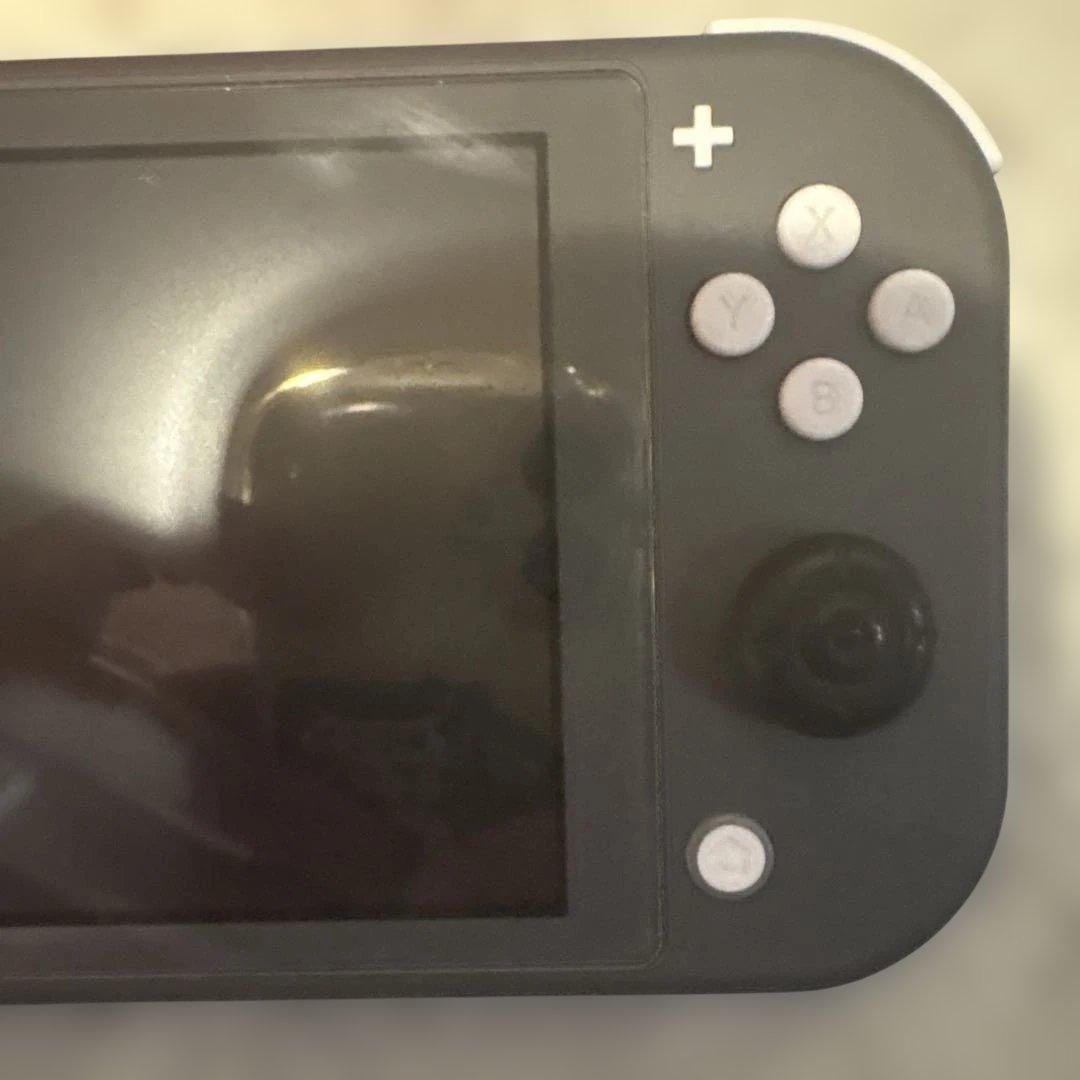 Nintendo Switch Lite グレー　ケース・保護カバー付き