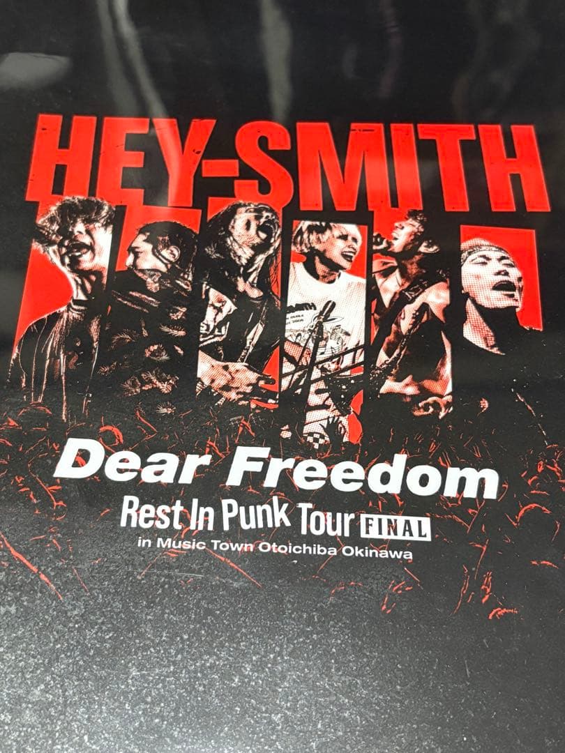 ミュージック HEY-SMITH Rest In Punk Tour DVD