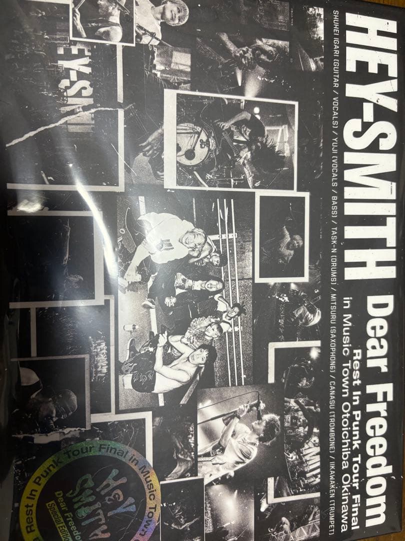 ミュージック HEY-SMITH Rest In Punk Tour DVD