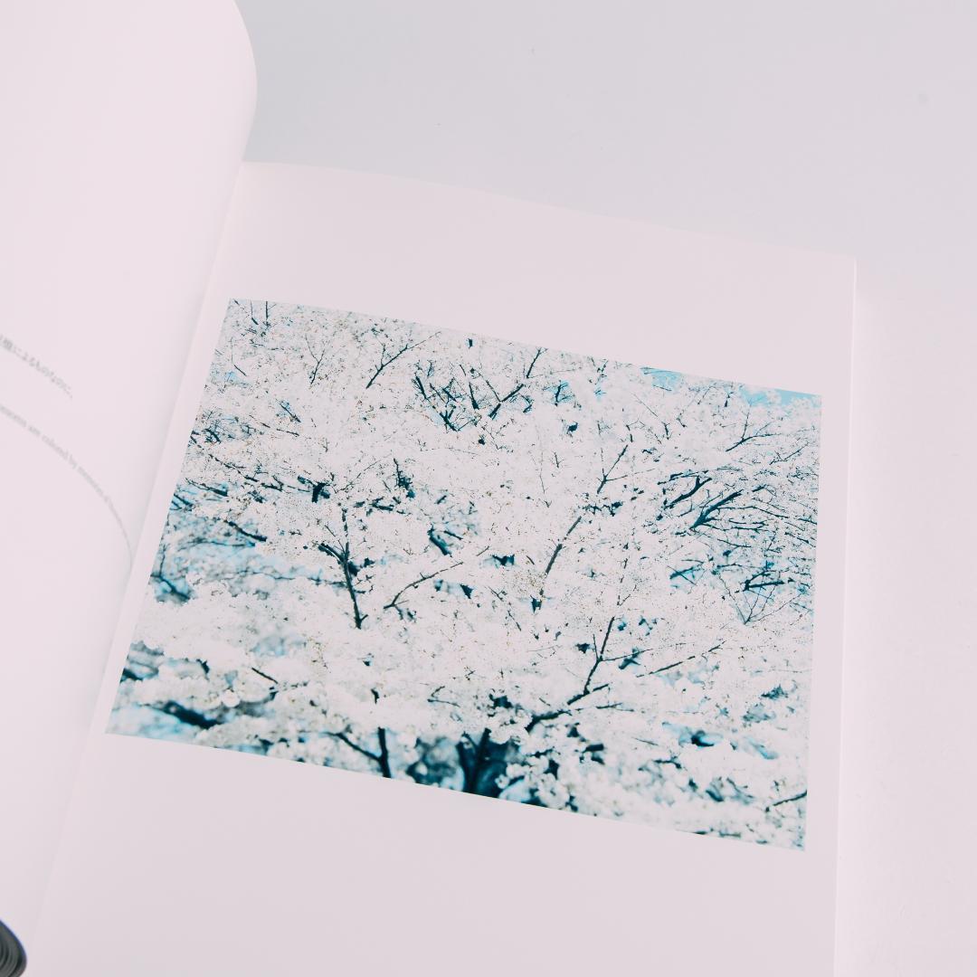 鈴木理策「Stream of consciousness」写真集